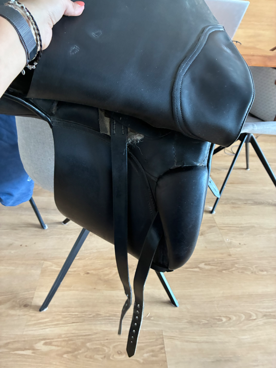 Passier Dressursattel Optimum 17" – Vorschau 4