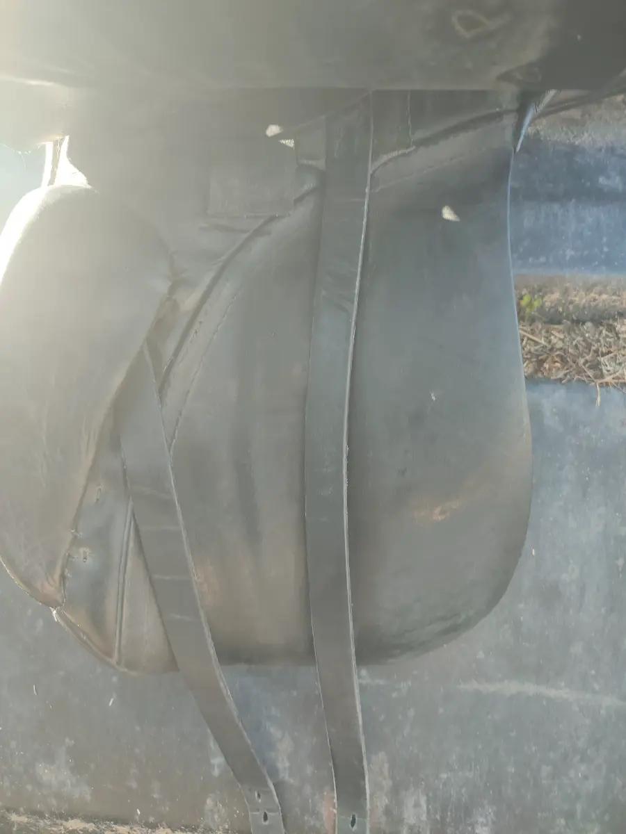 Passier Dressursattel Grand PRIX  16" – Vorschau 2